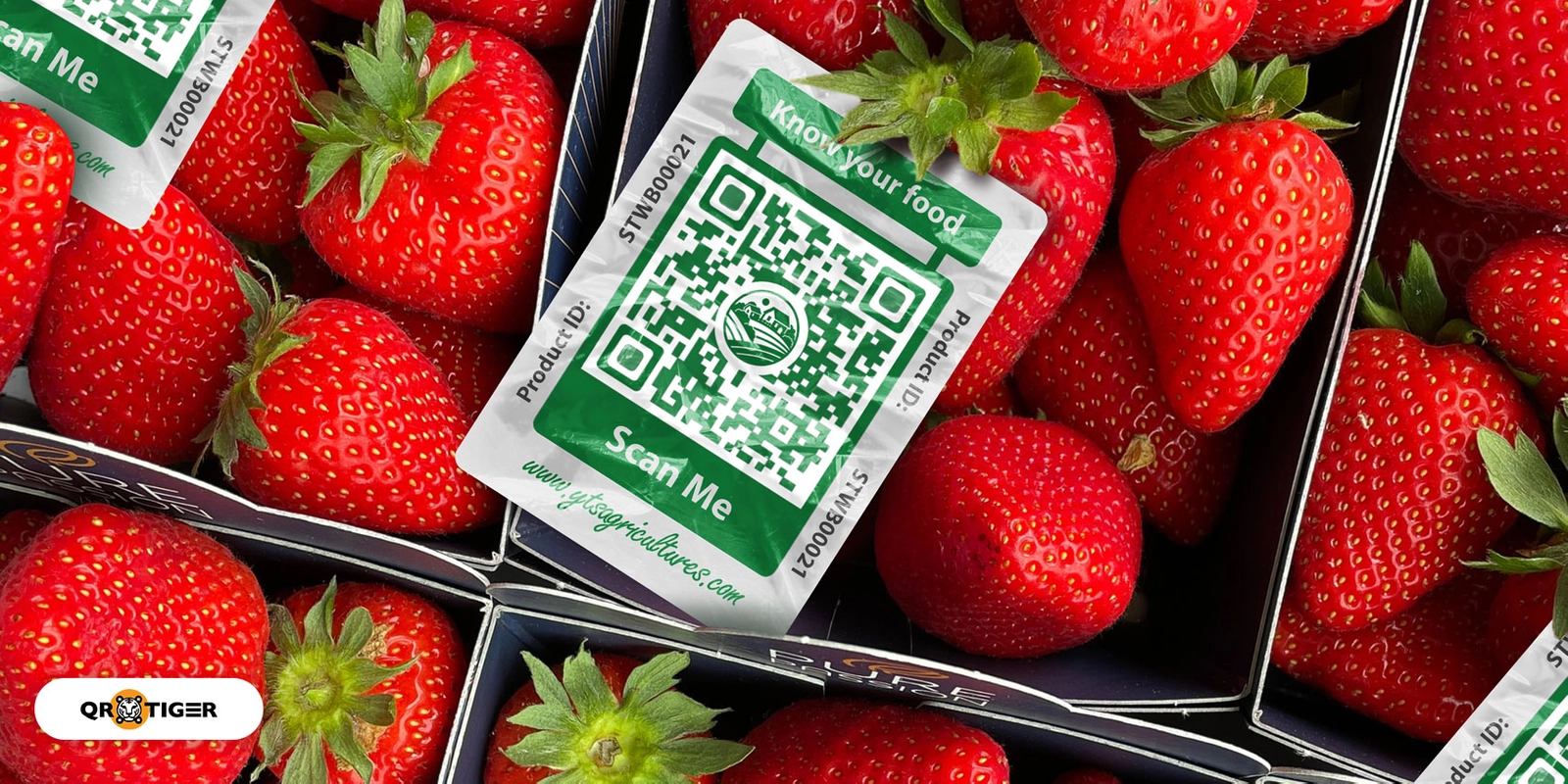 QR-kódok használata a mezőgazdasági marketinghez