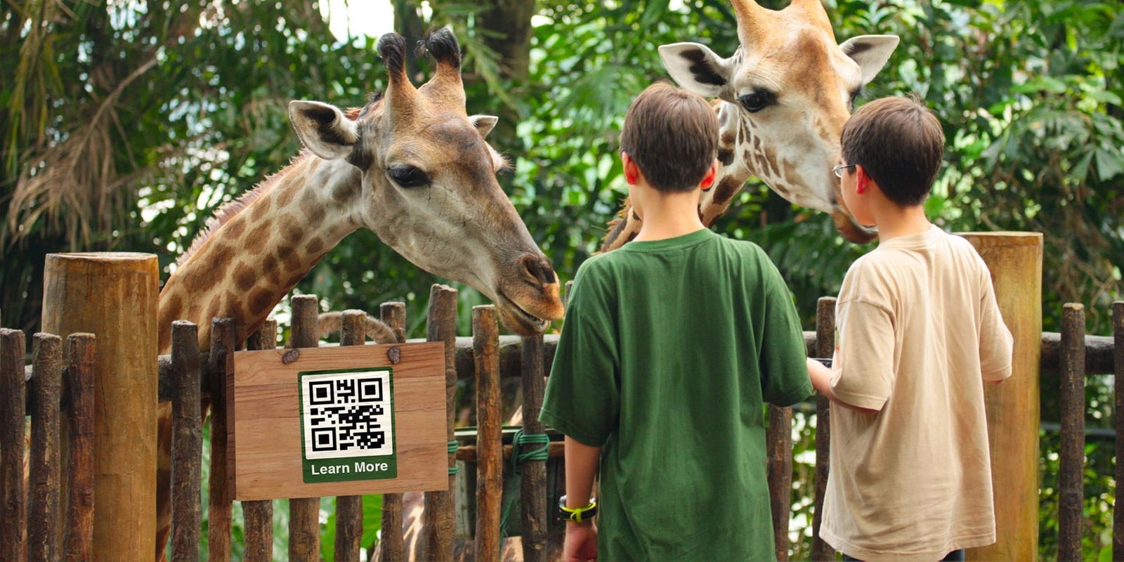 Как использовать QR-коды в парках аттракционов и зоопарках
