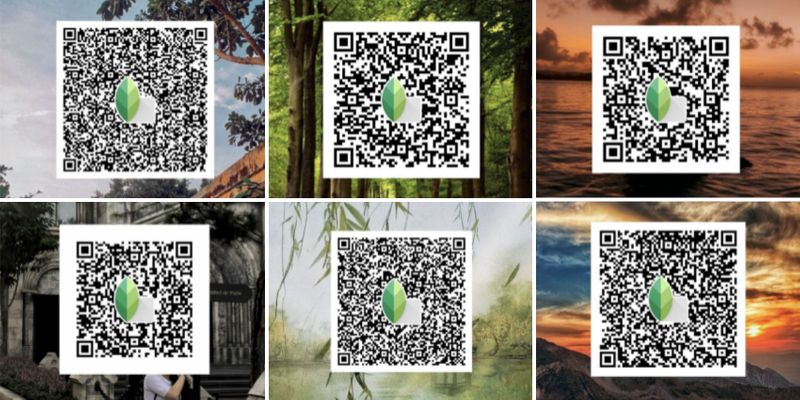 Best snapseed preset ideas