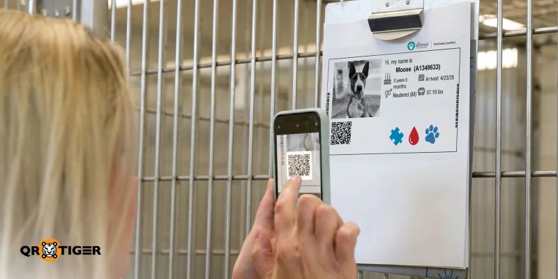 Person scanning a kennel QR code