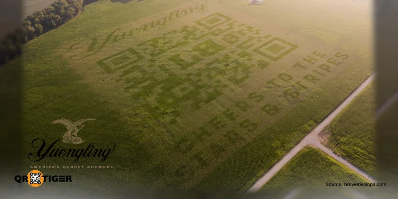 Large marketing funnel QR code